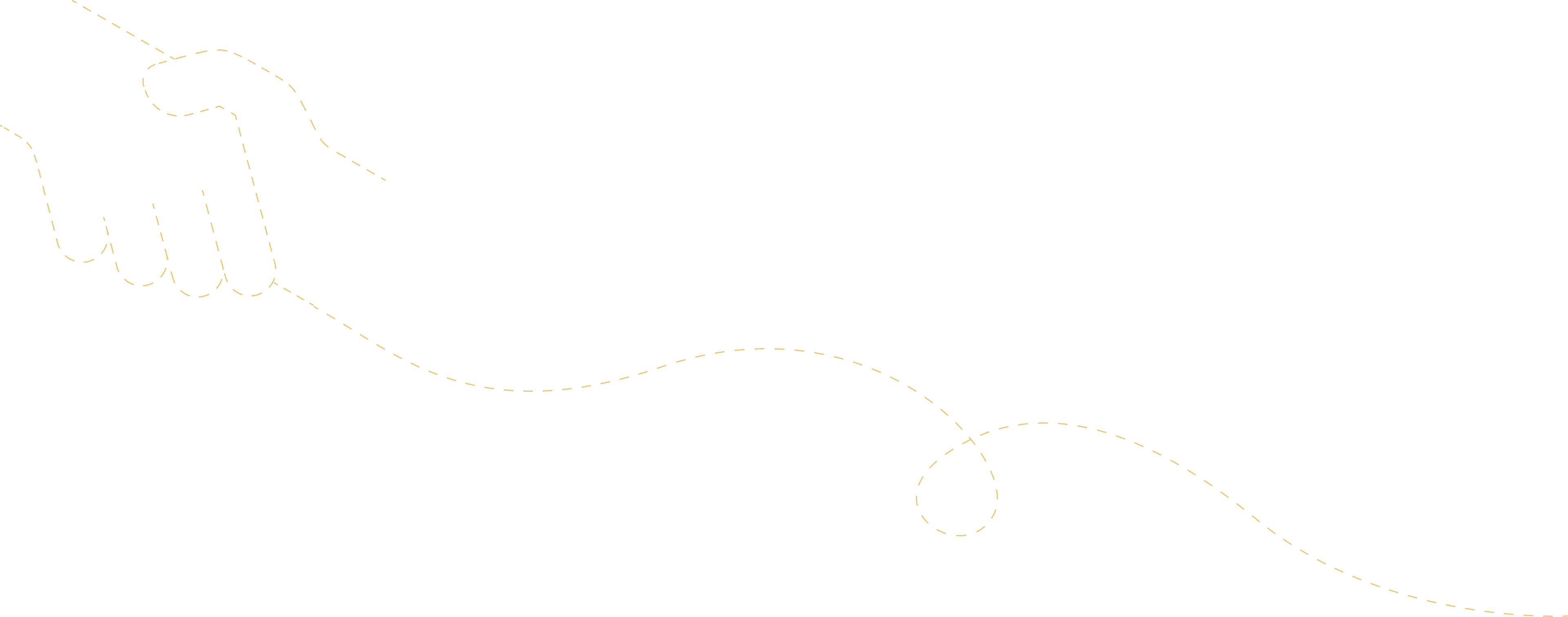 Plane Flight Path Graphic