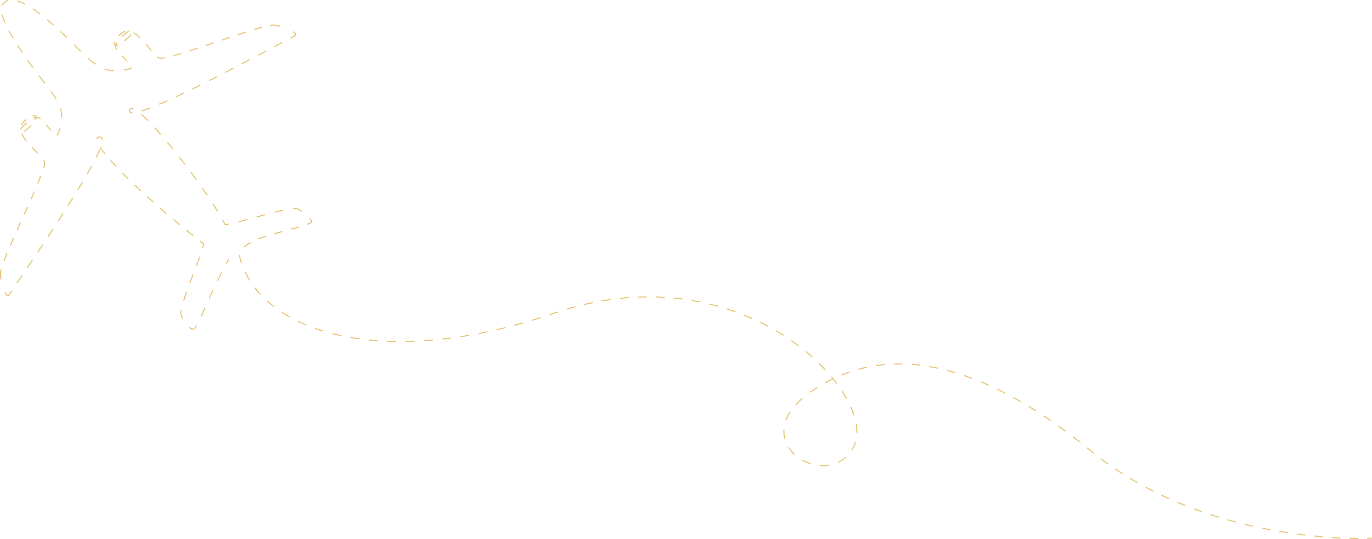 Plane Flight Path Graphic